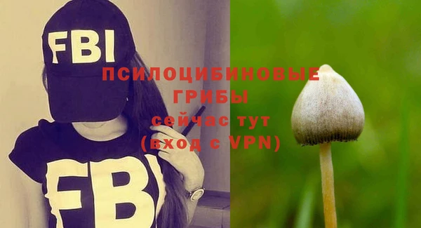 хмурый Осинники