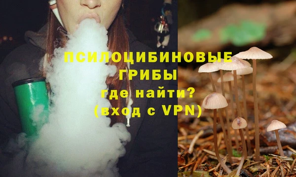 альфа пвп Киров