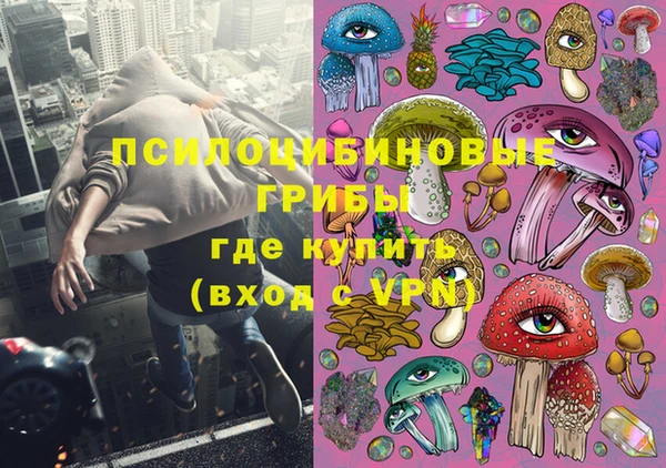 хмурый Осинники
