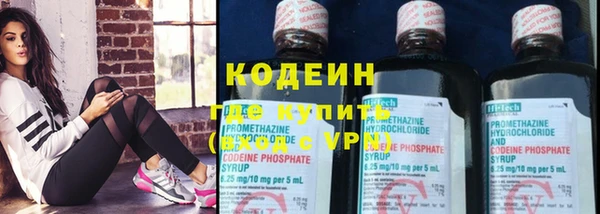 хмурый Осинники